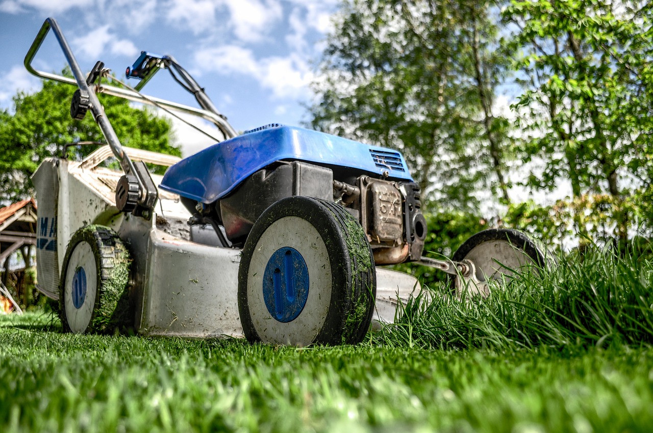 Pielęgnacja domowego trawnika- koszenie trawy